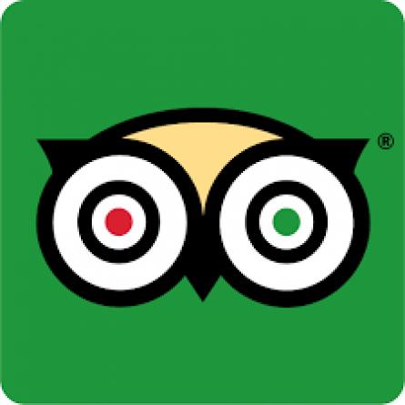 TripAdvisor